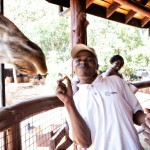 Principal Dan feeds the giraffe.